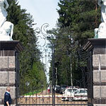 Кованые ворота ВРК-10